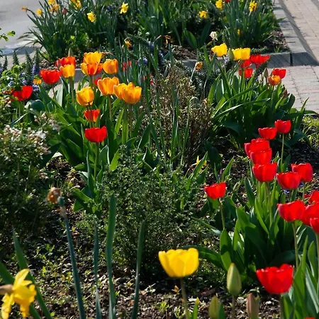 Apartment Unter Dem Schwalbennest *