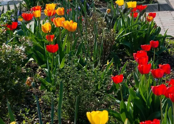 Apartment Unter Dem Schwalbennest *